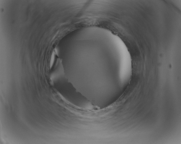 X0000067850035200604271656