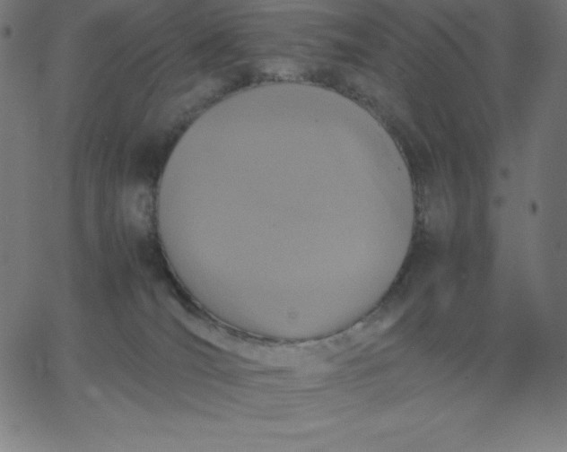 X0000067850036200604271656