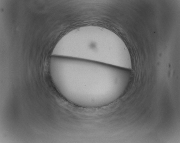 X0000067850037200604271656