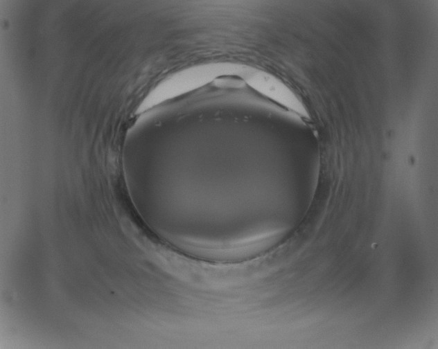 X0000067850039200604271656