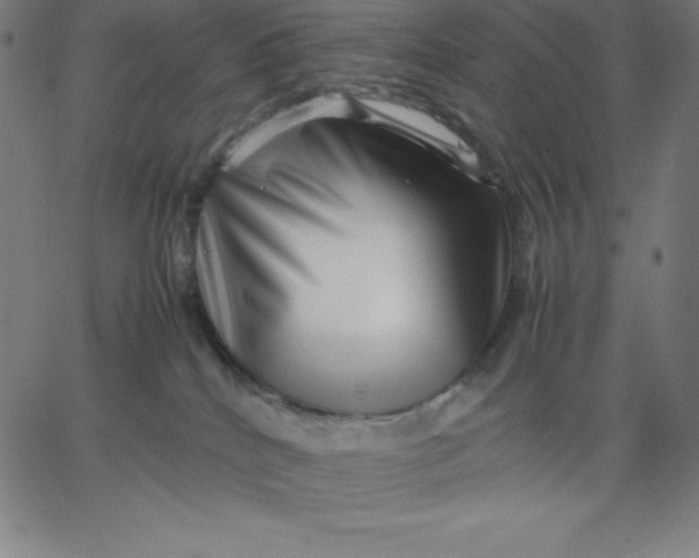 X0000067850040200604271656