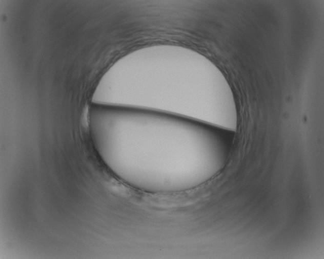 X0000067850041200604271656