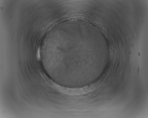 X0000067850042200604271656