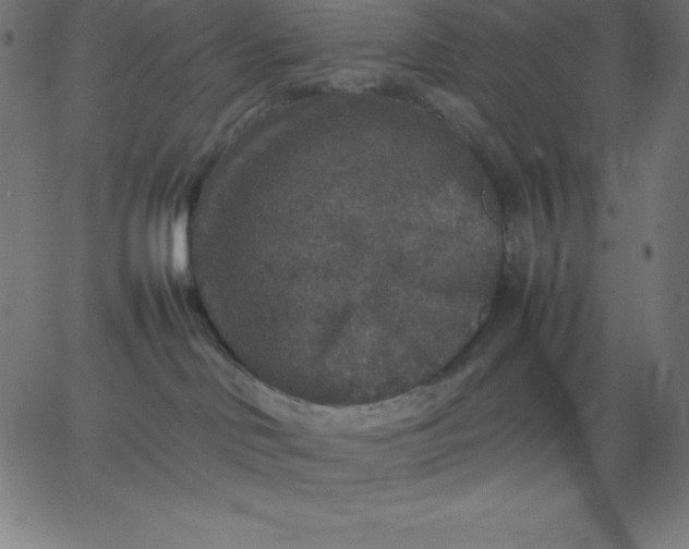 X0000067850046200604271656