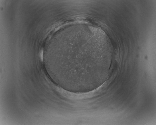 X0000067850047200604271656