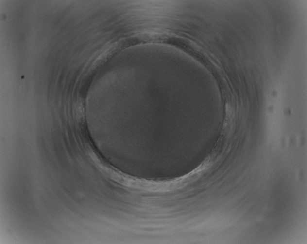 X0000067850048200604271656