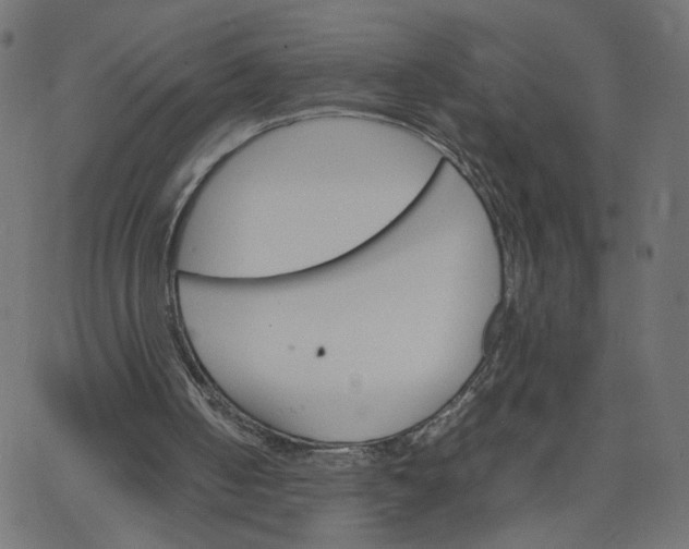 X0000067850050200604271655