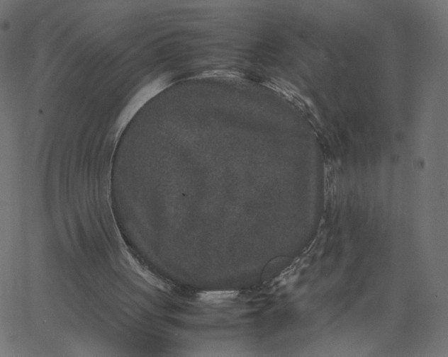 X0000067850051200604271655