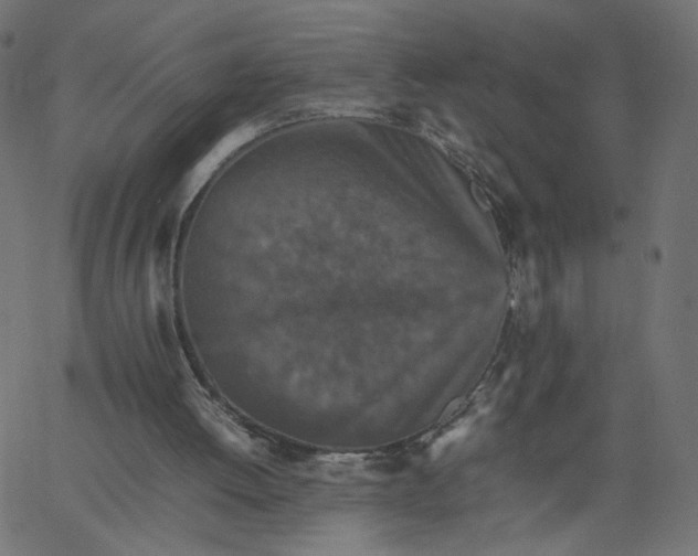 X0000067850052200604271655