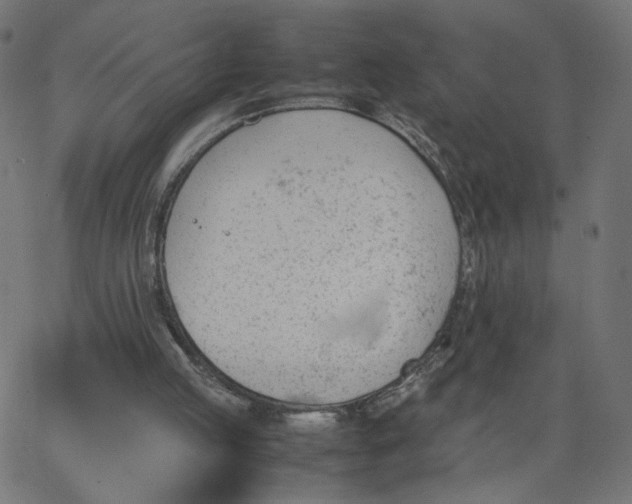 X0000067850053200604271655