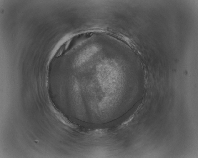 X0000067850056200604271655