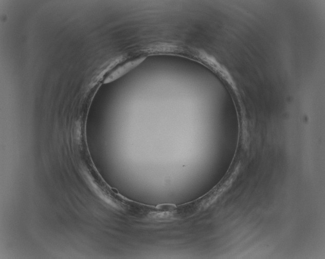 X0000067850057200604271655