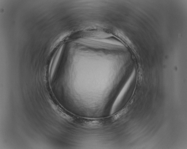 X0000067850058200604271655