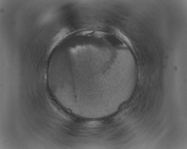 X0000067850059200604271655