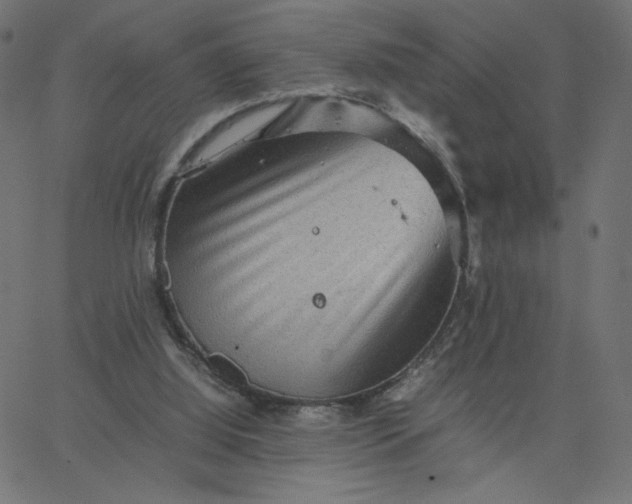 X0000067850060200604271655