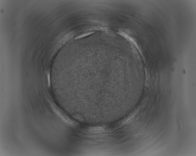 X0000067850061200604271655