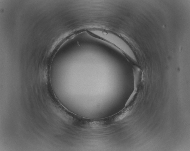 X0000067850064200604271655