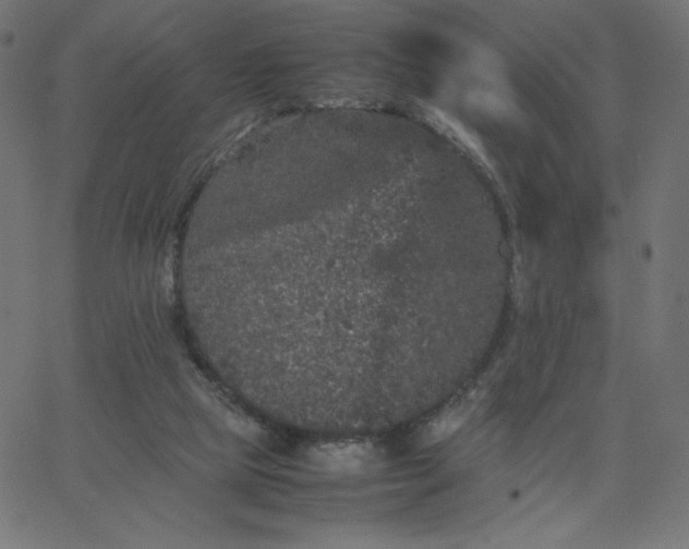 X0000067850065200604271655