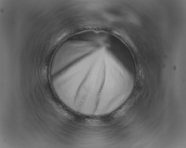 X0000067850066200604271655