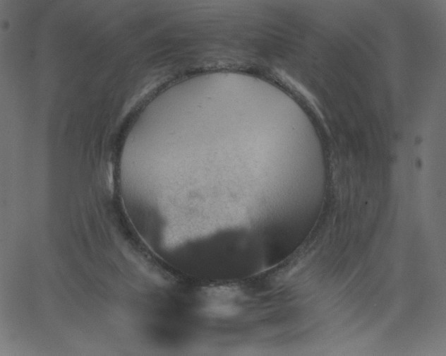 X0000067850067200604271655