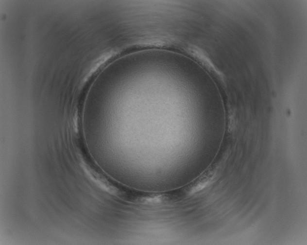 X0000067850068200604271655