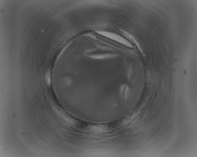 X0000067850069200604271655