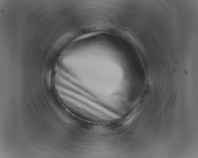 X0000067850070200604271655