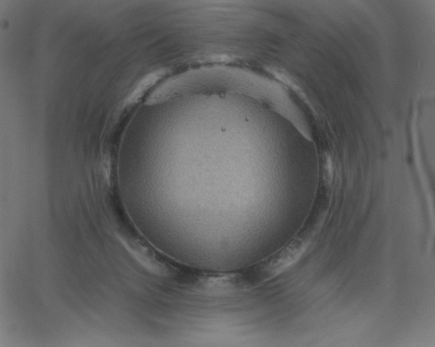 X0000067850072200604271656