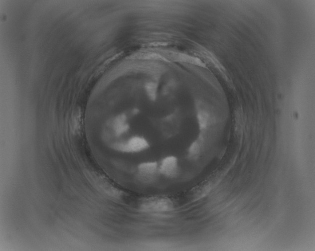 X0000067850073200604271656