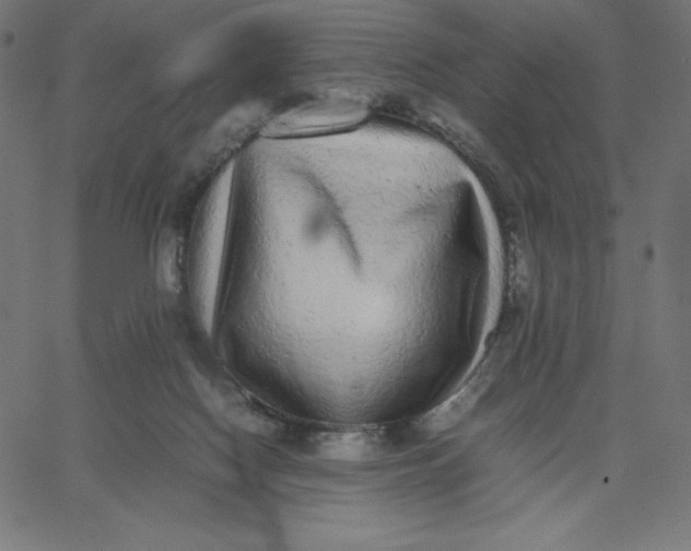 X0000067850074200604271656