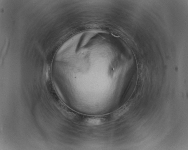 X0000067850075200604271656