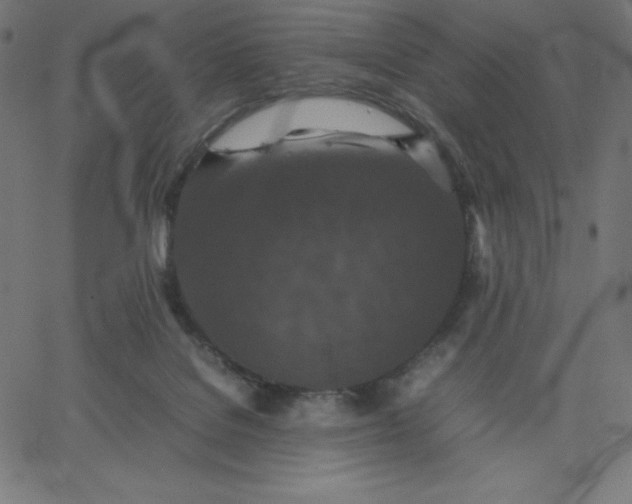 X0000067850076200604271656