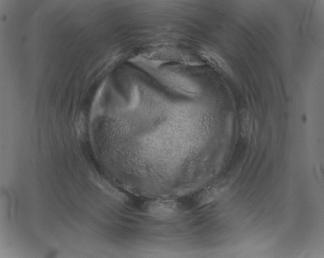 X0000067850077200604271656