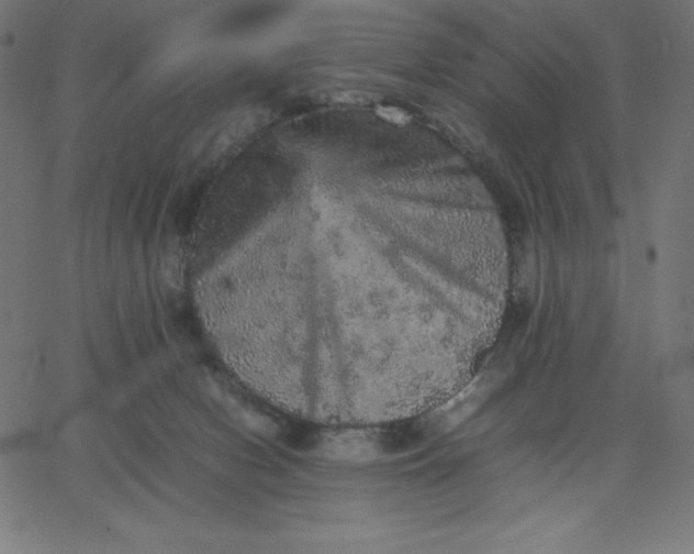 X0000067850078200604271656