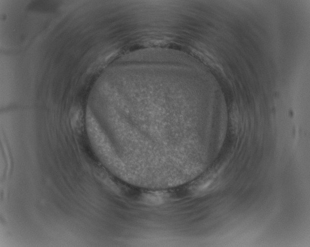 X0000067850079200604271656