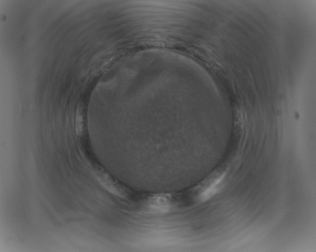 X0000067850080200604271656