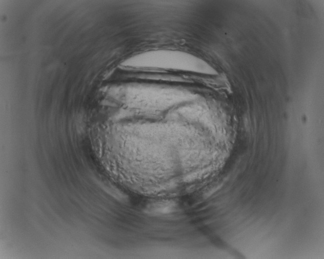 X0000067850081200604271656