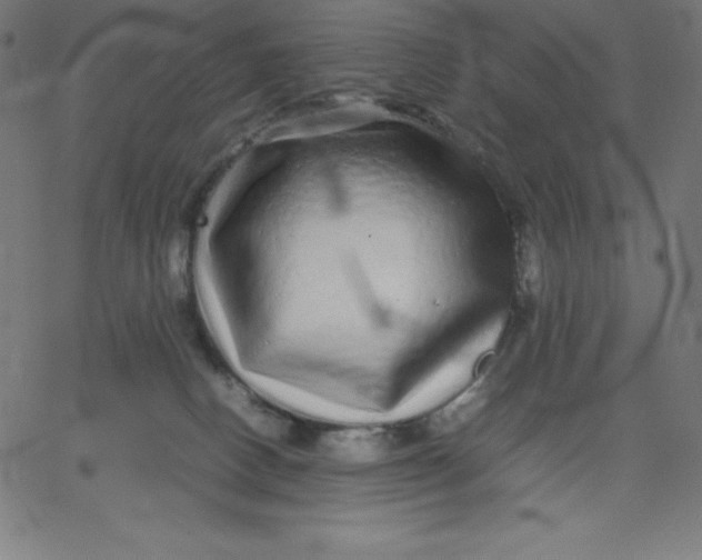 X0000067850082200604271656