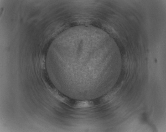 X0000067850083200604271656