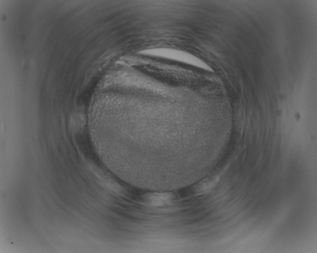 X0000067850085200604271656