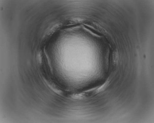 X0000067850086200604271656