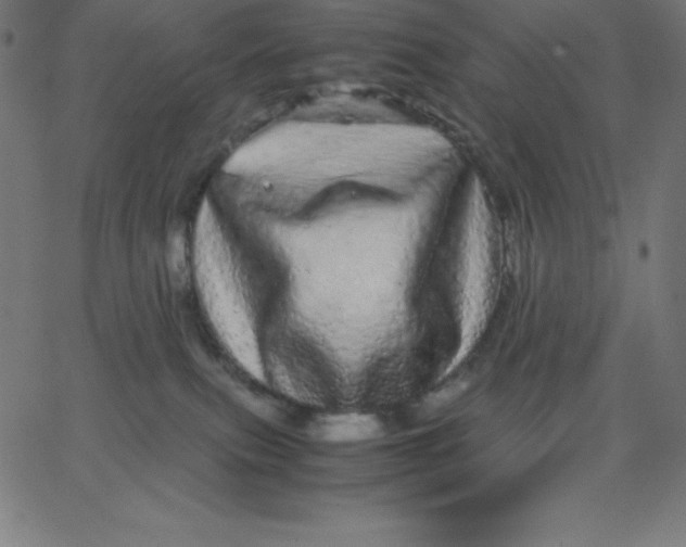 X0000067850087200604271656