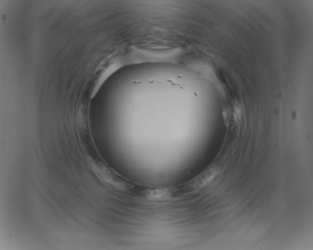 X0000067850088200604271656