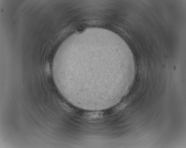 X0000067850089200604271656