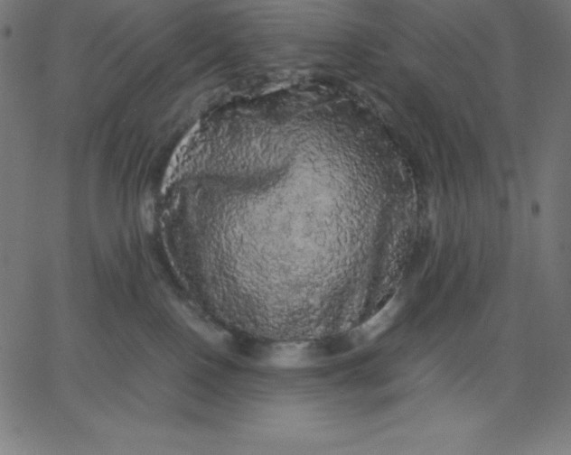 X0000067850090200604271656