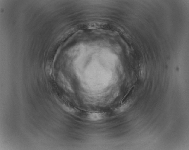 X0000067850091200604271656