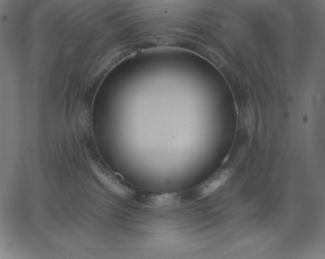 X0000067850092200604271656