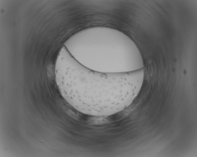 X0000067850093200604271656