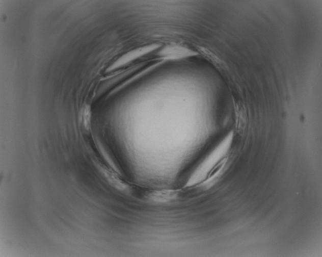 X0000067850094200604271656