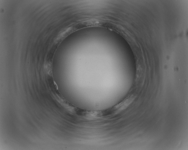 X0000067850096200604271656